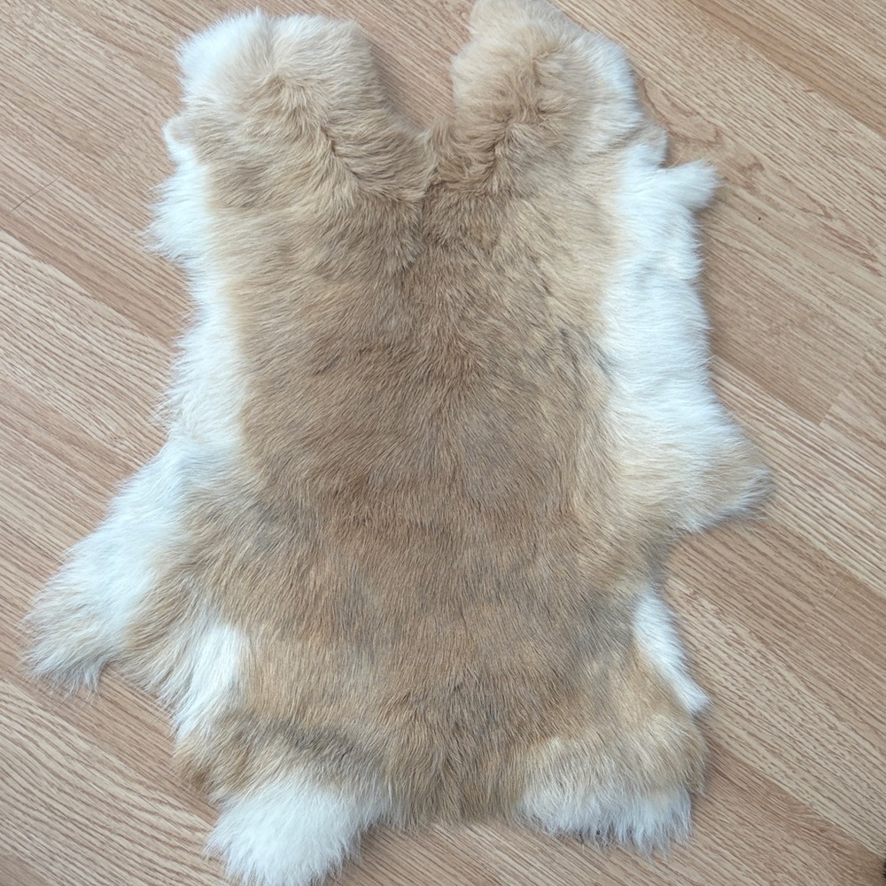 #A74 rabbit pelt
